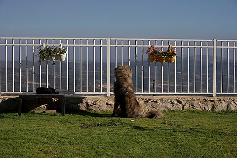 Middle East Tensions: Majdal Shams in the Israel-controlled Golan Heights